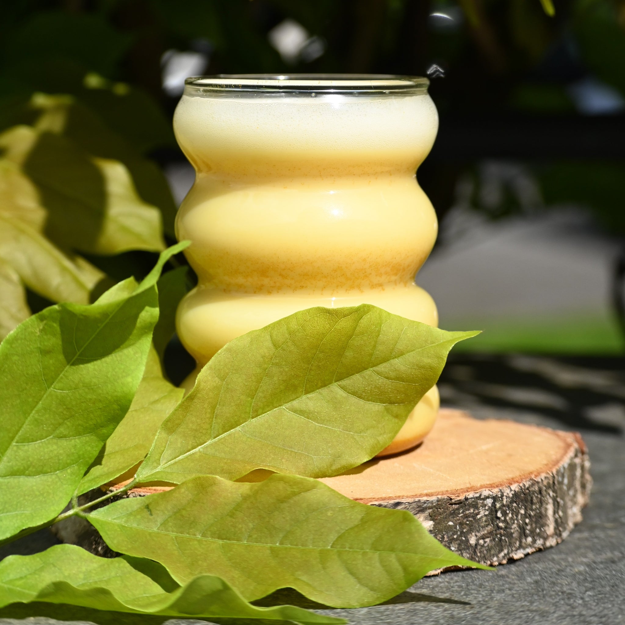 Produktneuheit: Kurkuma Mix mit Haferdrink