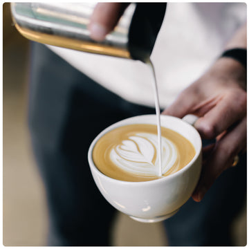 latte Art in Zubereitung Cappuccino 